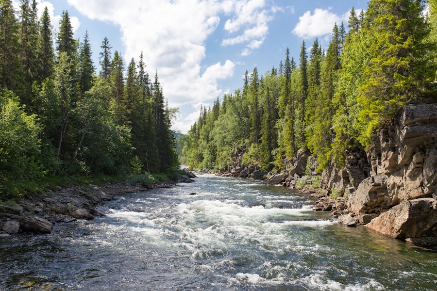 Gorges i congosts